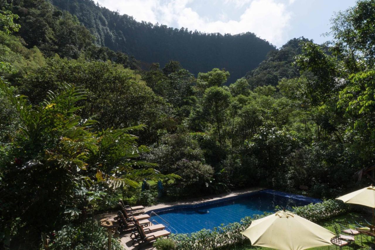 Hotel El Abrazo Del Arbol Mindo Ngoại thất bức ảnh