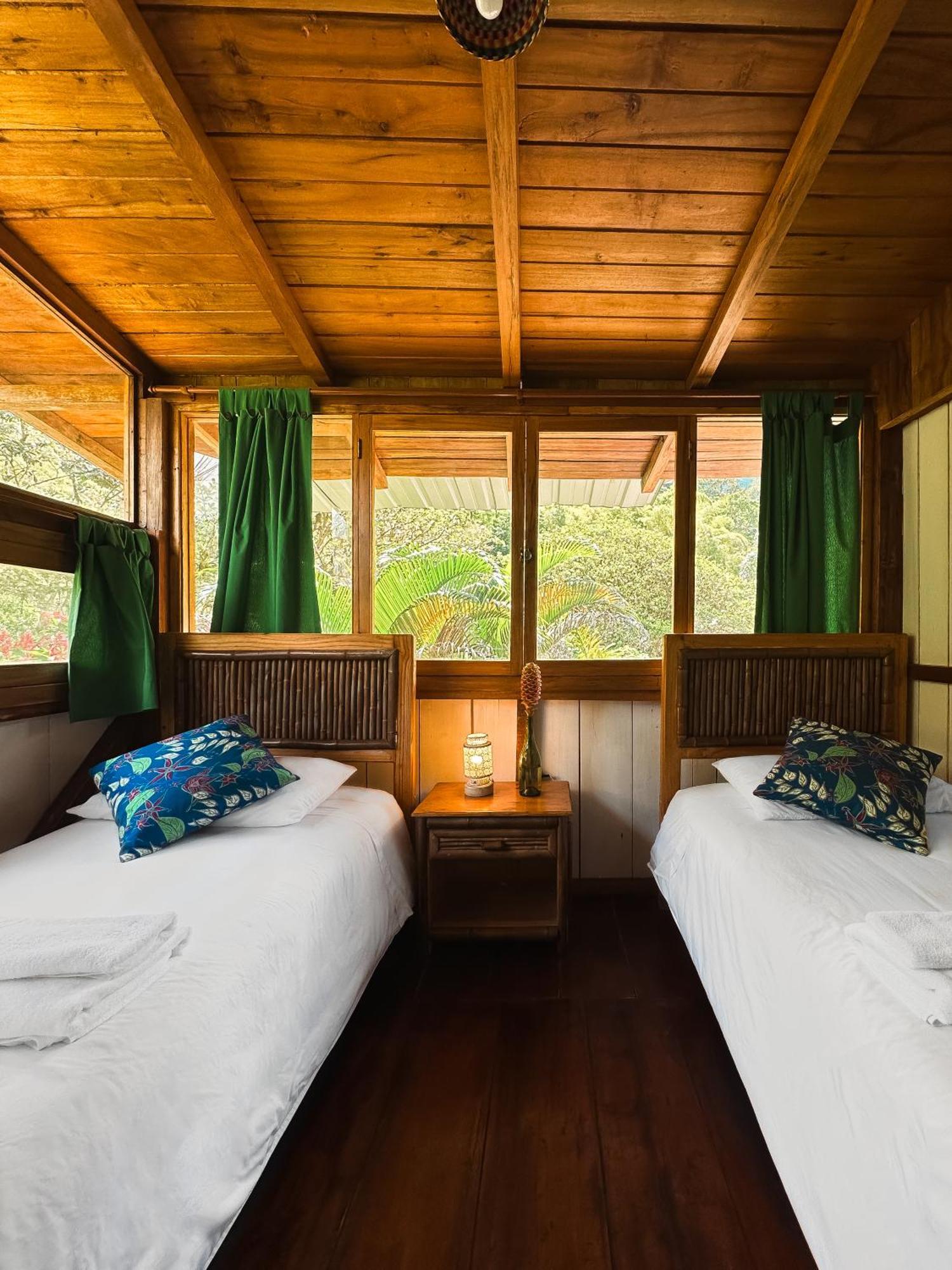 Hotel El Abrazo Del Arbol Mindo Ngoại thất bức ảnh