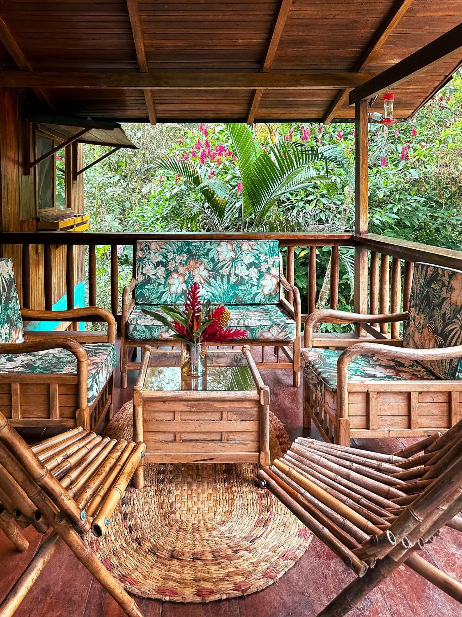 Hotel El Abrazo Del Arbol Mindo Ngoại thất bức ảnh