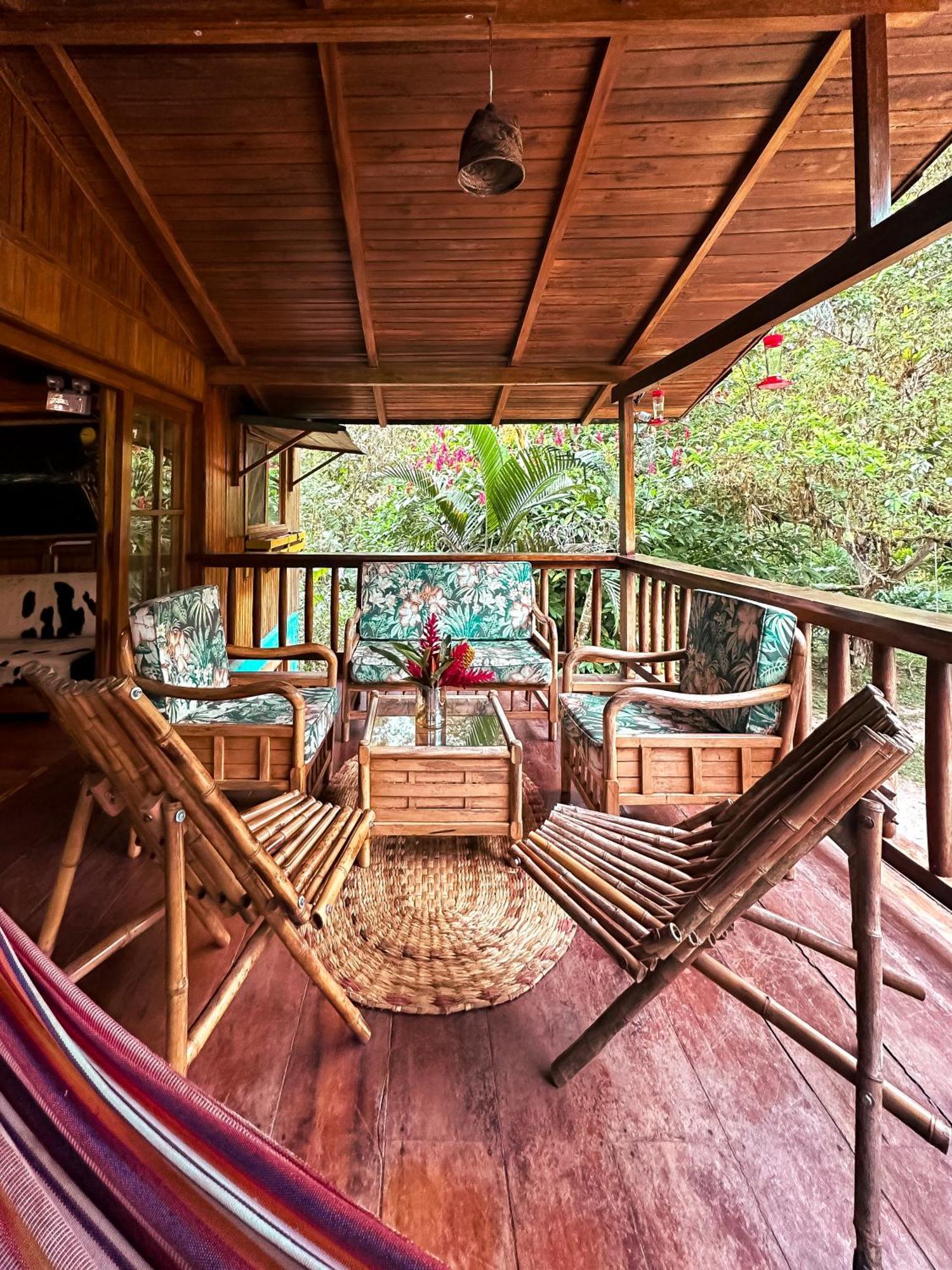 Hotel El Abrazo Del Arbol Mindo Ngoại thất bức ảnh