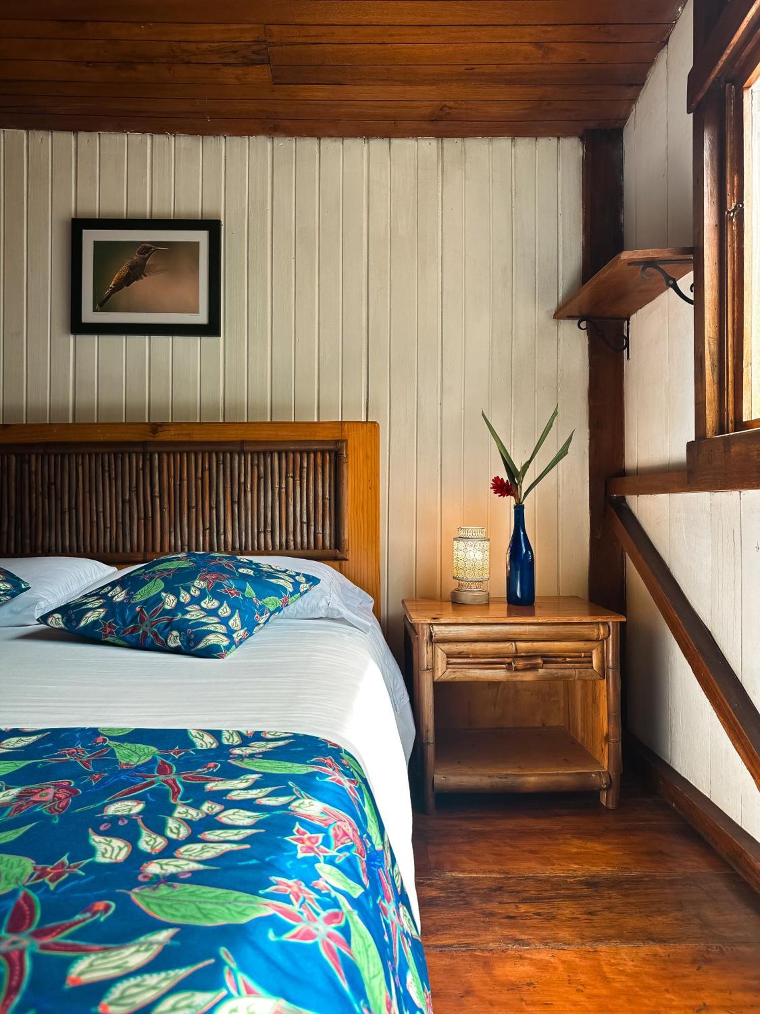 Hotel El Abrazo Del Arbol Mindo Ngoại thất bức ảnh