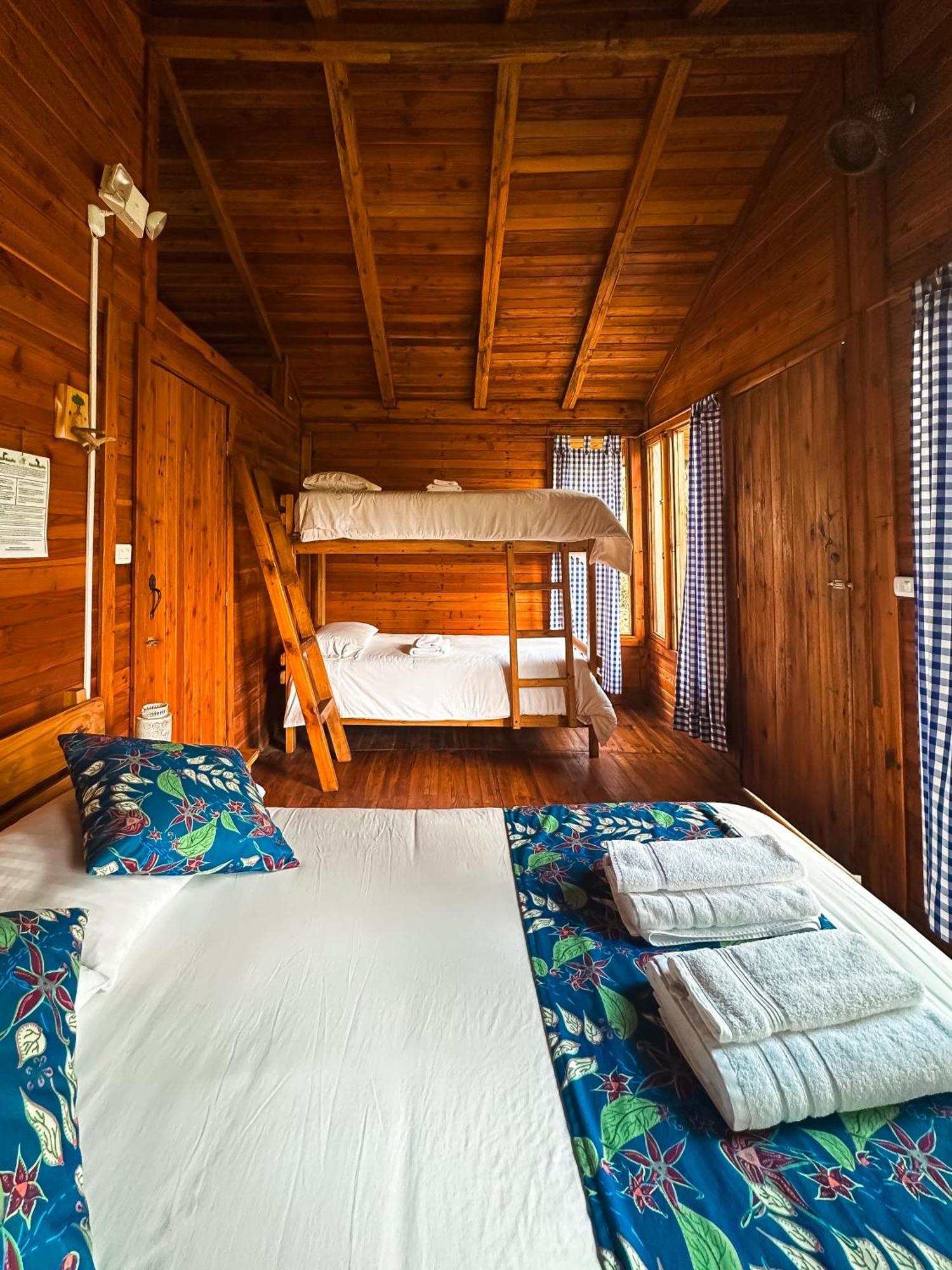 Hotel El Abrazo Del Arbol Mindo Ngoại thất bức ảnh